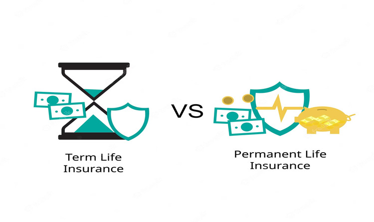 Term Vs Whole Life Insurance Whats The Difference Turtlemintpro 3560